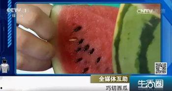 吃瓜不吐籽11,一场关于瓜果与人生的趣味对话