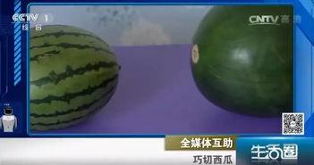 吃瓜不吐籽11,一场关于瓜果与人生的趣味对话