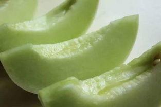 慈溪阮欣吃瓜,揭秘网红吃瓜背后的故事