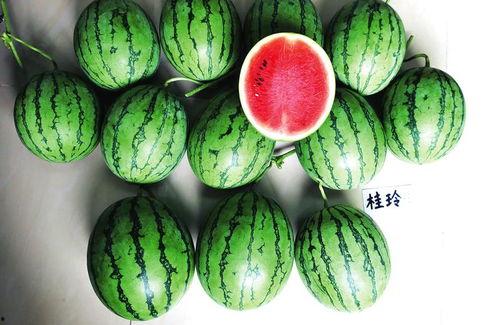 南通本地吃瓜新闻,本地新闻聚焦焦点