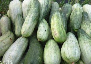 怀孕吃酥瓜,酥瓜，营养美味两不误