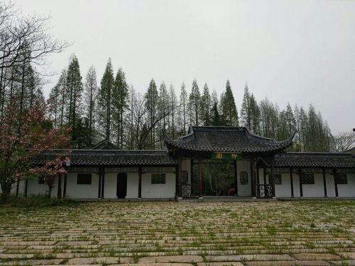 泰州柳园吃瓜,清凉一夏，味蕾狂欢