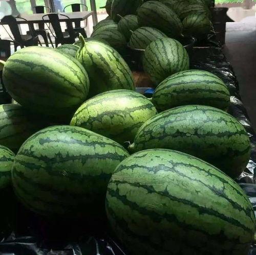 京瓜怎样吃,解锁京城特色瓜果的多样美味