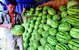 吃瓜吃到自己城市,我的城市，我的瓜