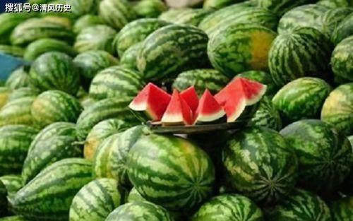 斐斐吃瓜,揭秘娱乐圈幕后故事