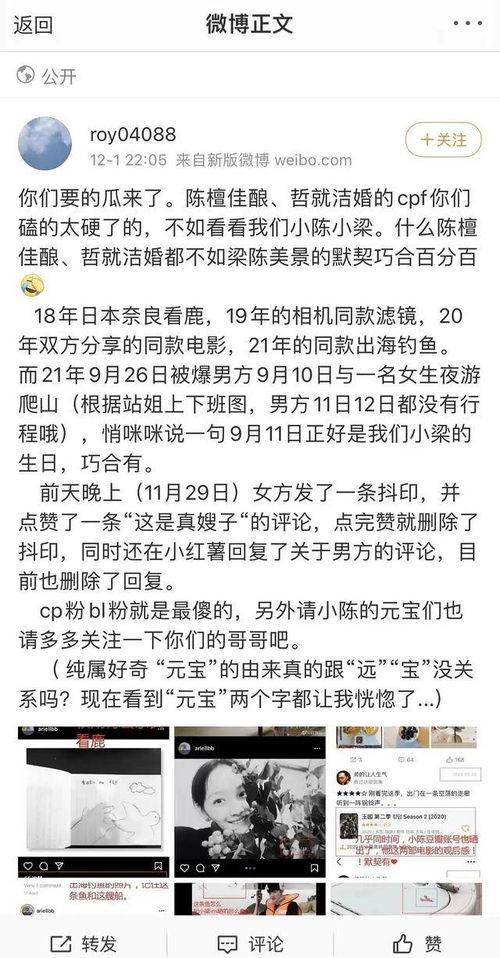 吃陈哲远的瓜,揭秘明星背后的故事