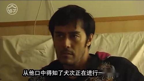 吃瓜大叔老王视频,吃瓜大叔老王带你揭秘热门视频背后的故事