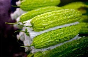 孕妇可以吃树瓜吗