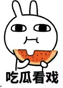 吃瓜太郎官网,探寻美食与娱乐的跨界传奇