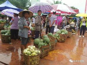 吃瓜群众开幕视频