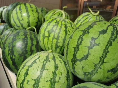 正铭吃瓜,揭秘娱乐圈幕后真相