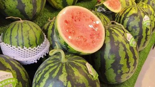 可以天天吃瓜吗,健康生活新选择