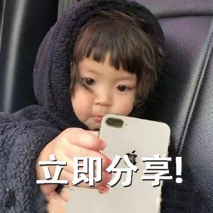 带你吃瓜包包,潮流美食界的跨界新宠