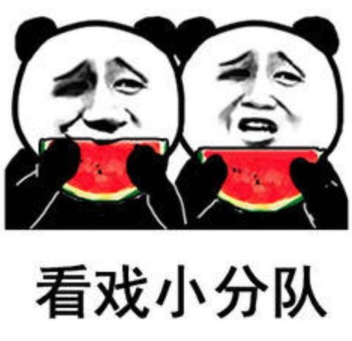 带你吃瓜包包,潮流美食界的跨界新宠