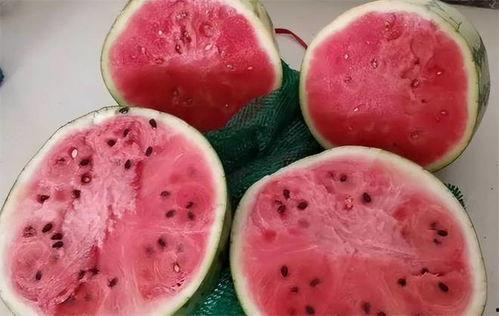 吃麒麟瓜口干,品味夏日清新