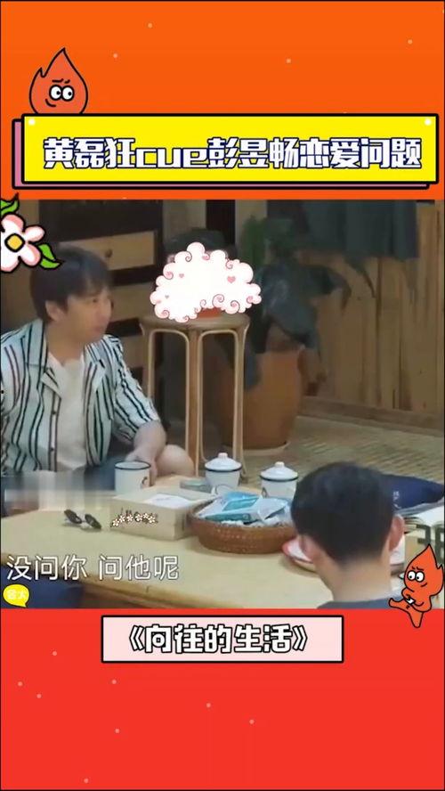 吃瓜何老师,娱乐圈的“瓜王”传奇