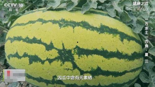 夏季吃瓜视频图片,瓜果飘香，清凉一夏短视频集锦