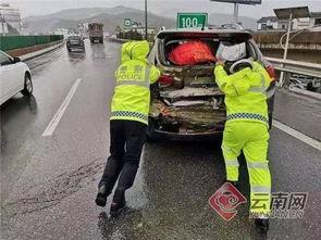 吃瓜司机超近路,惊险一幕引网友热议