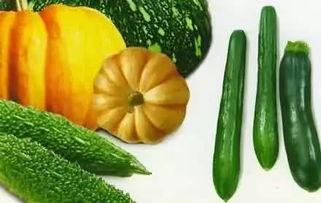 抱着肩膀吃瓜,品味生活百态