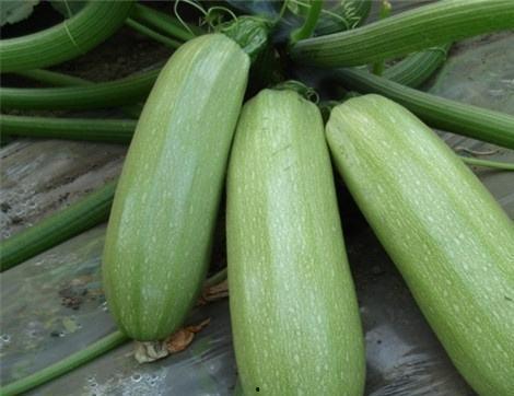 吃瓜有什么好处坏处