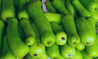 蒲瓜胃溃疡可以吃吗