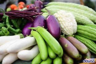 广州融创吃瓜,揭秘吃瓜群众的围观盛宴