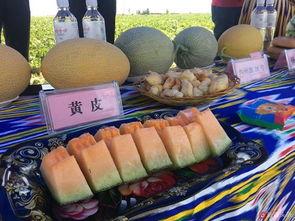 吐鲁番最新吃瓜事件,最新吃瓜事件揭秘